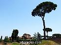 wbgarden roma pines 105